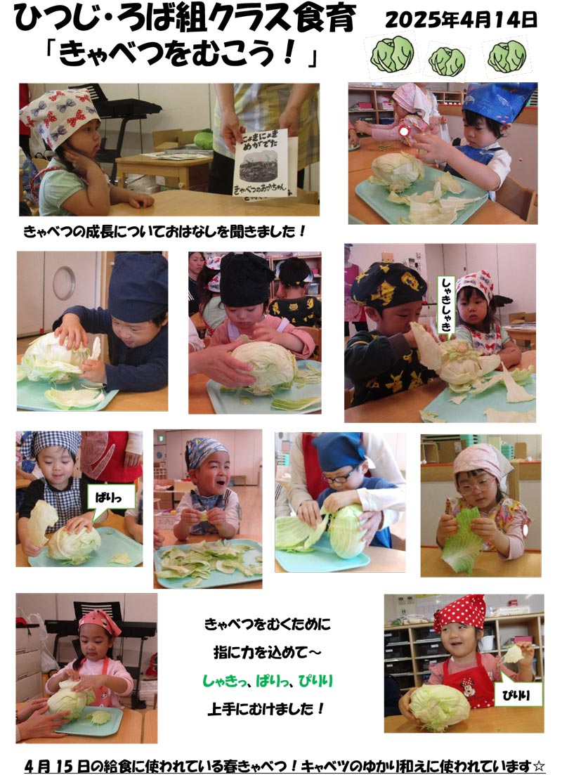 〈ひつじ・ろば組〉きゃべつをむこう！