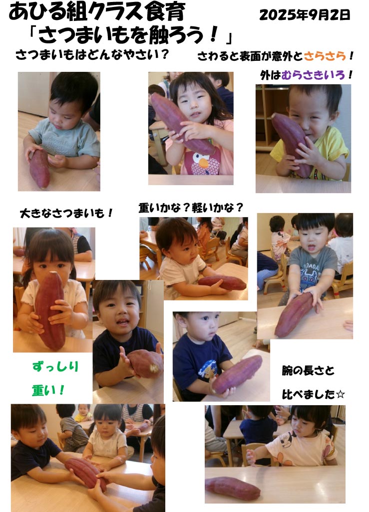 〈あひる組〉さつまいもを触ろう!
