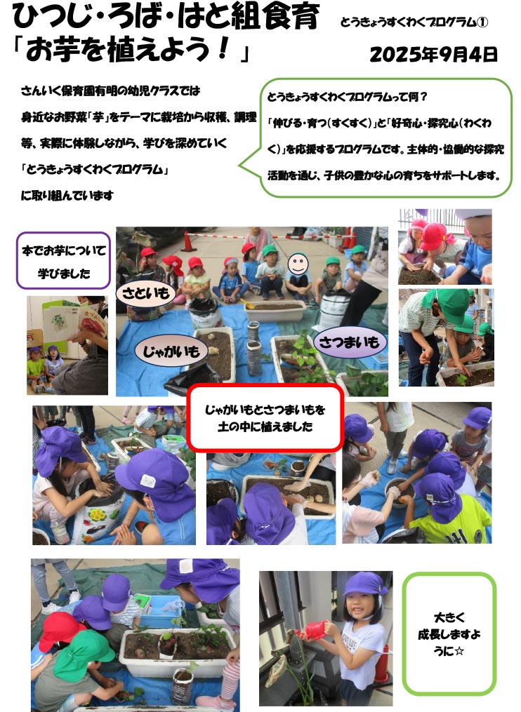 〈ひつじ・ろば・はと組〉お芋を植えよう!