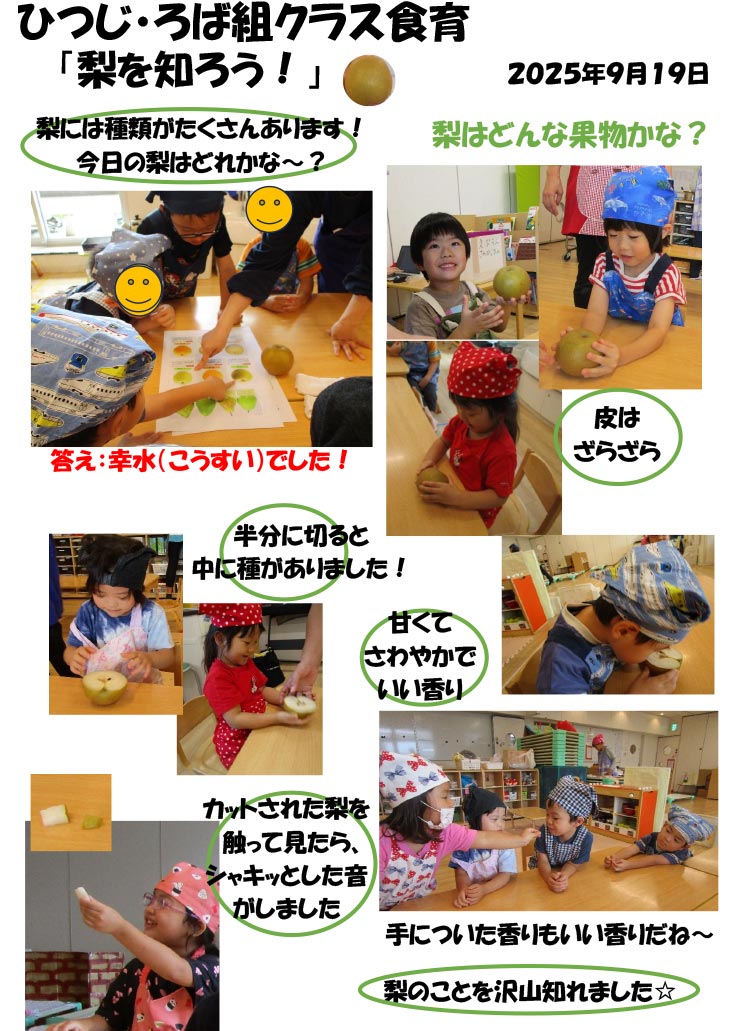 〈ひつじ・ろば組〉梨を知ろう!