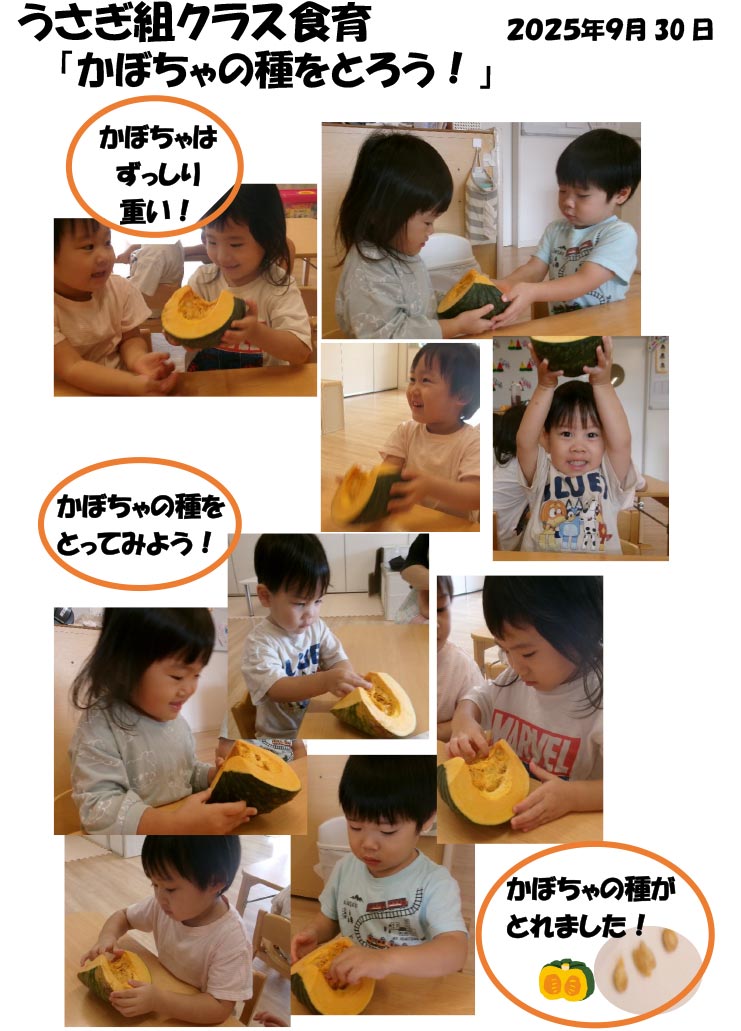 〈うさぎ組〉かぼちゃの種をとろう!