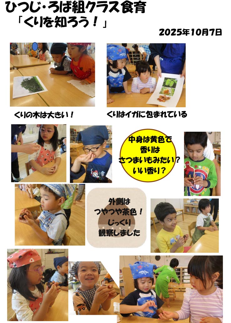 〈ひつじ・ろば組〉くりを知ろう!