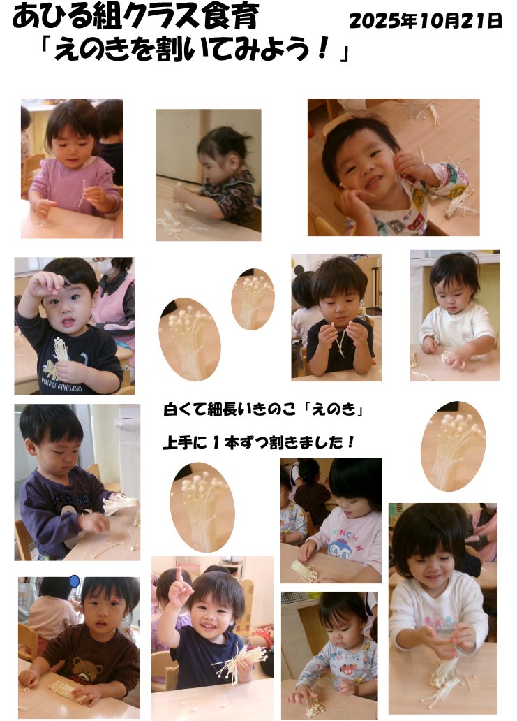 〈あひる組〉えのきを割いてみよう!