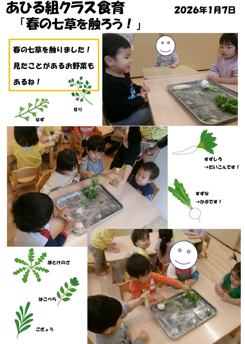 〈あひる組〉春の七草を触ろう！