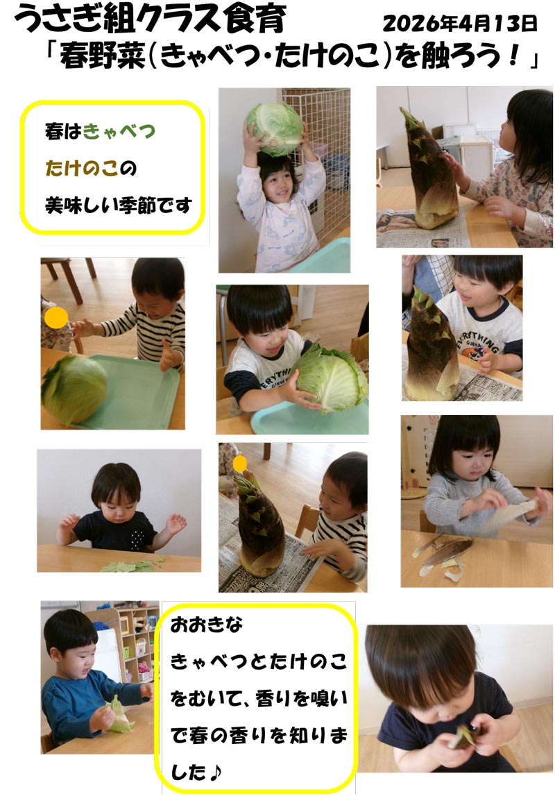 〈うさぎ組〉春野菜(きゃべつ・たけのこ)を触ろう!