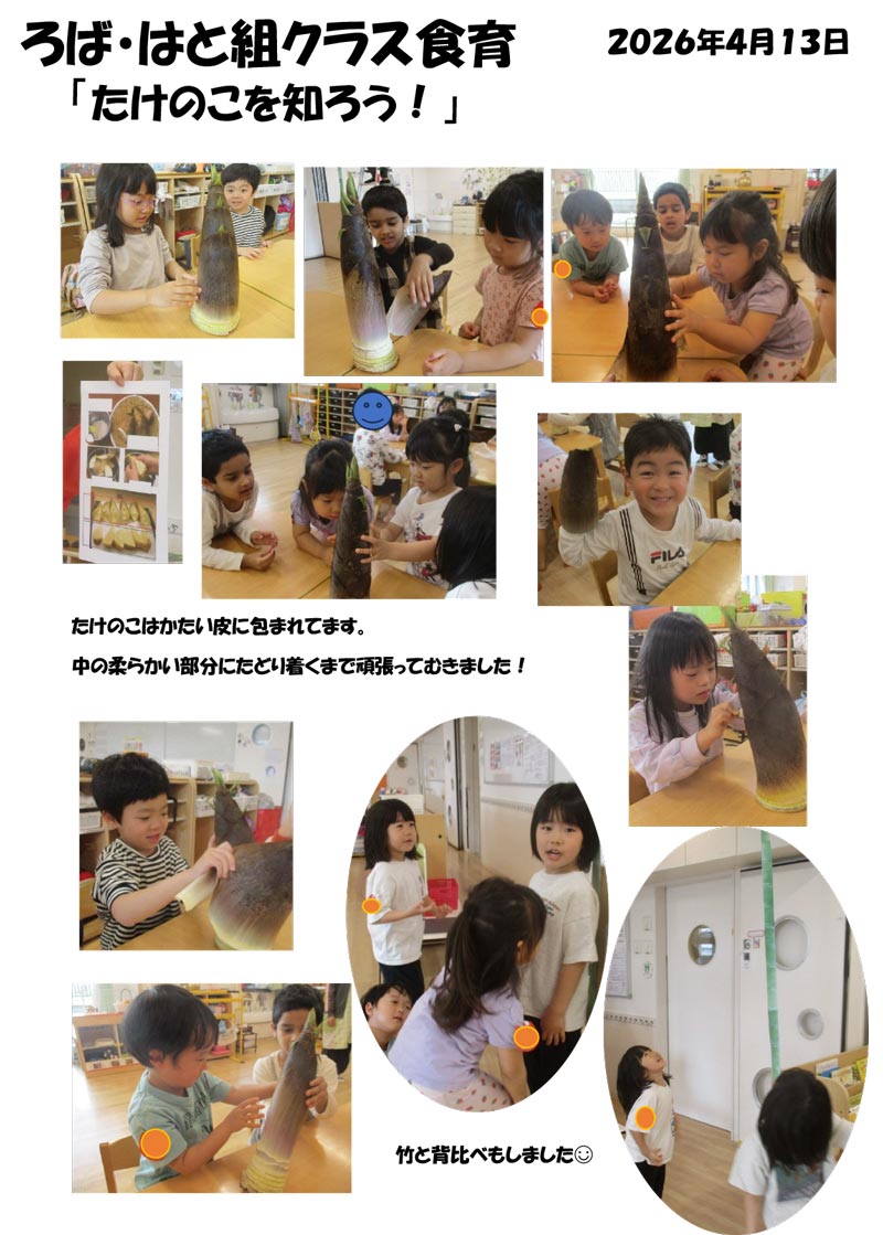 〈ろば組〉たけのこを知ろう!