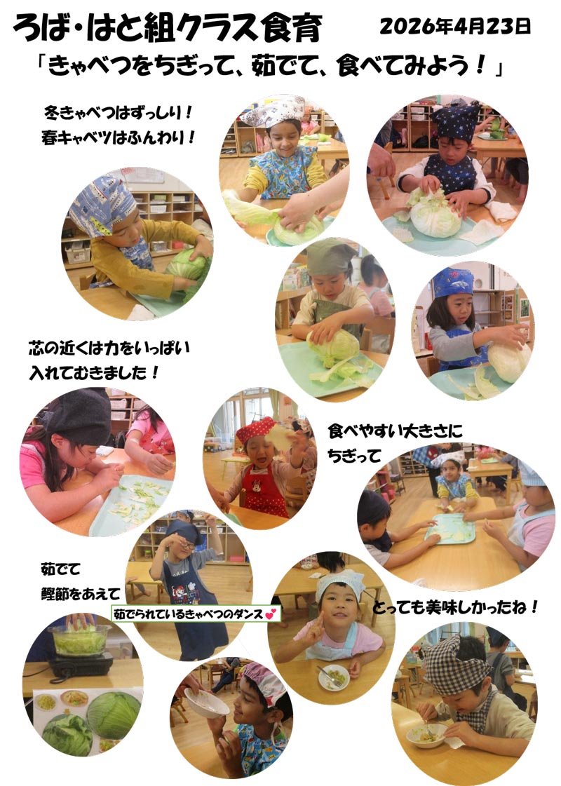 〈ろば・はと組〉きゃべつをちぎって、茹でて、食べてみよう!