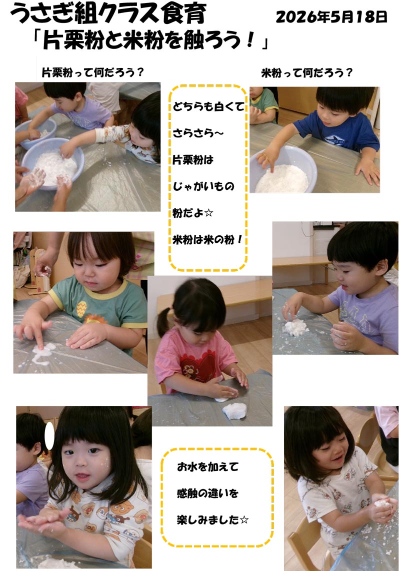 〈うさぎ組〉片栗粉と米粉を触ろう！