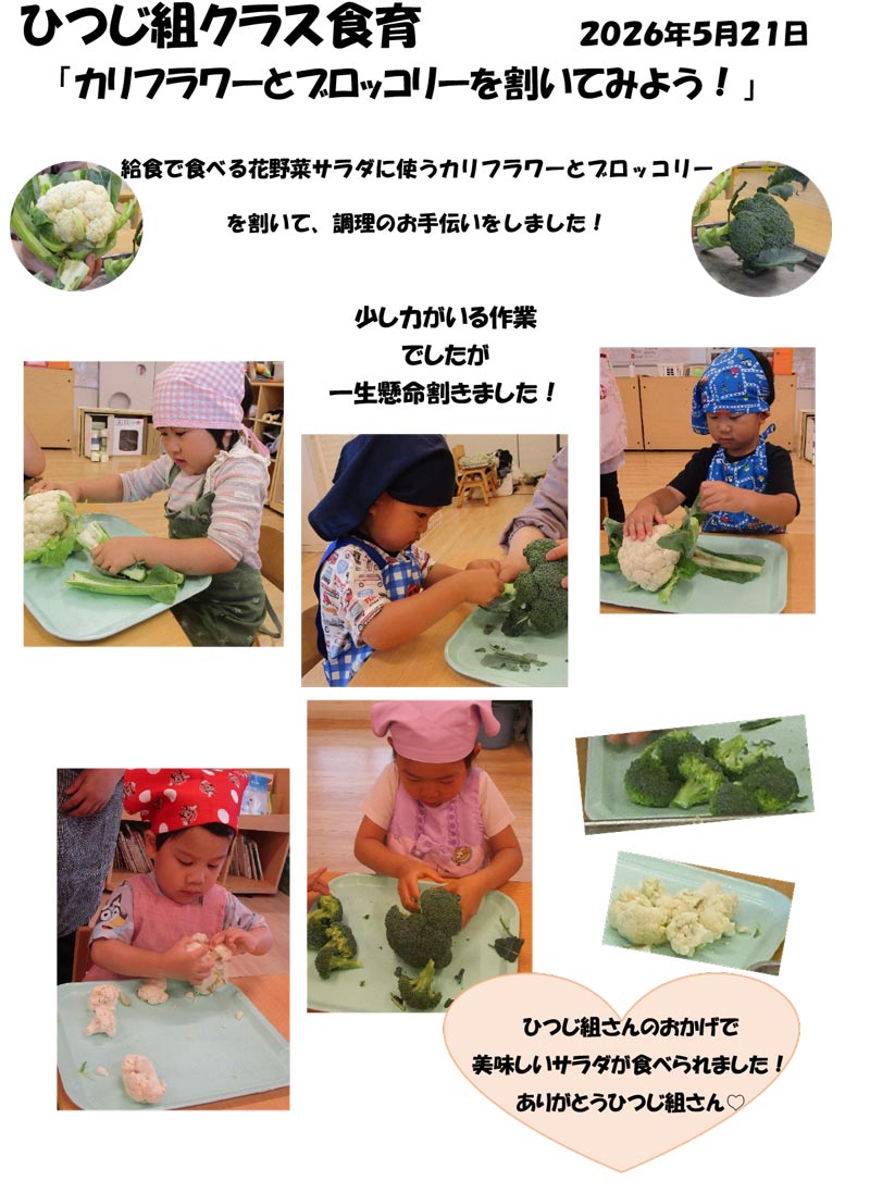 〈ひつじ組〉カリフラワーとブロッコリーを割いてみよう！