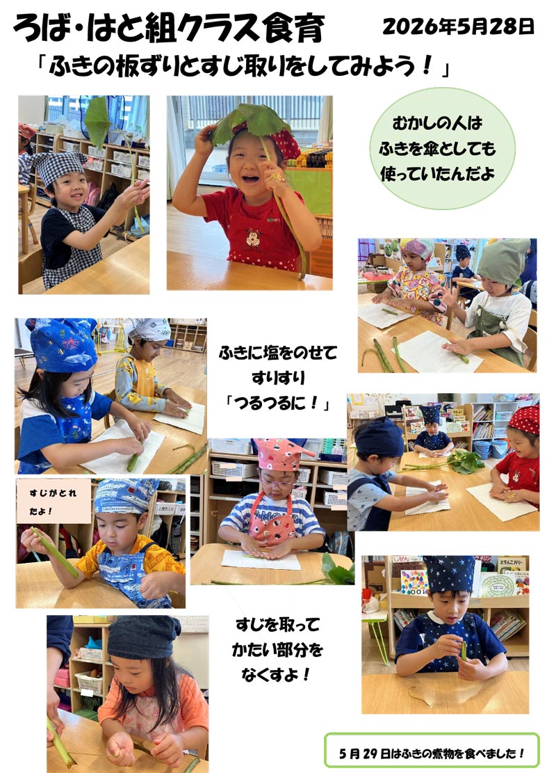 〈ろば・はと組〉ふきの板ずりとすじ取りをしてみよう！