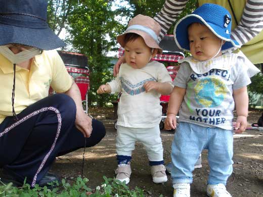 みんなでお散歩〈ひよこ組：0歳児〉