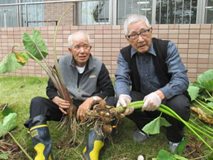 野菜作り