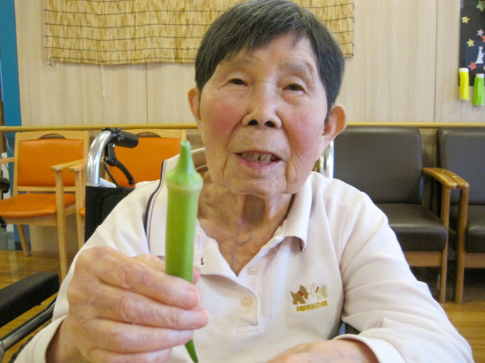 夏野菜が採れました！