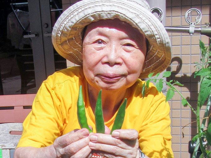 夏野菜が採れました！