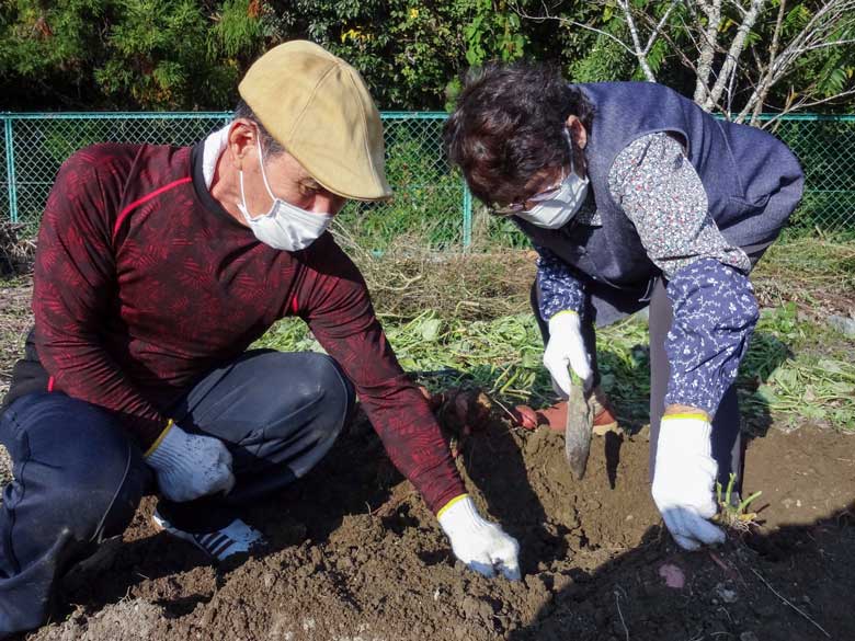 今年も豊作です