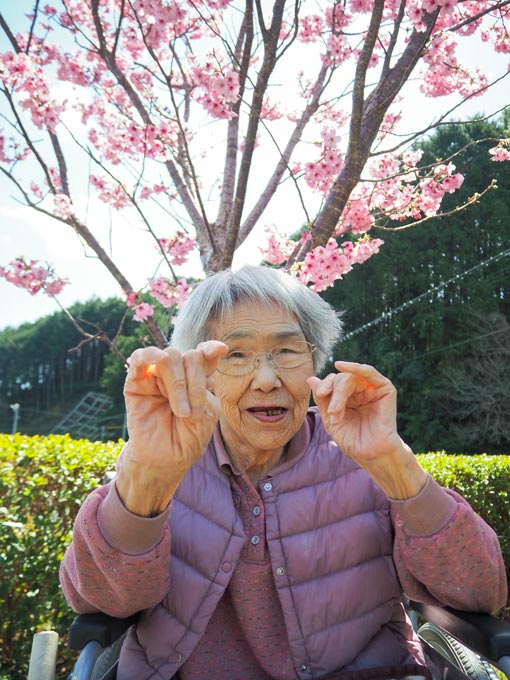 今年の桜もきれいでした