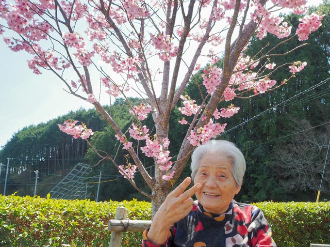 今年の桜もきれいでした