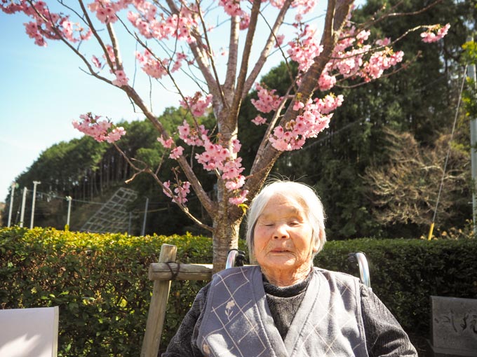 今年の桜もきれいでした