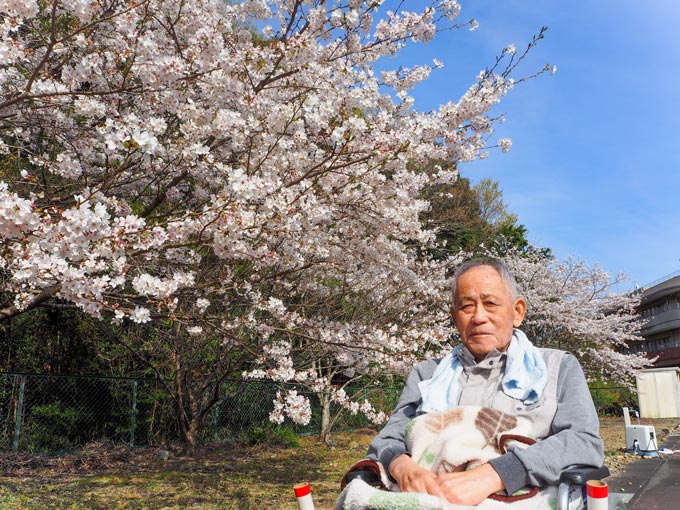 今年の桜もきれいでした