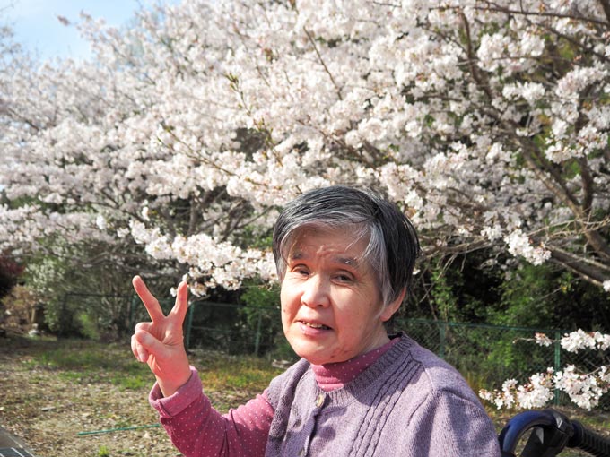 今年の桜もきれいでした