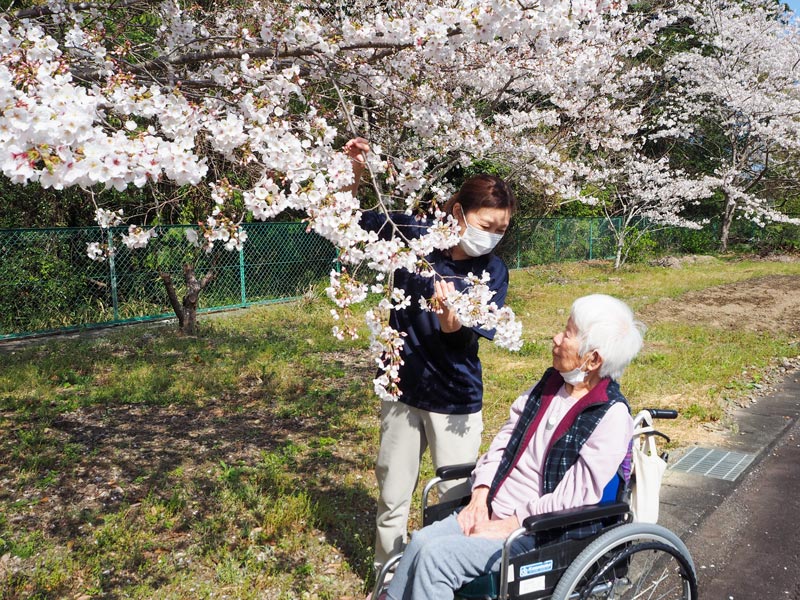 桜を楽しみました‼［第2弾］