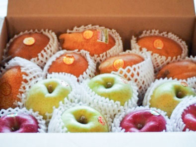 いただきました